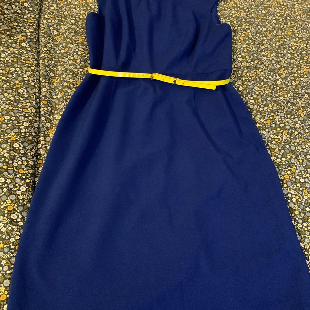 Ellen Tracy Royal Blue Garment